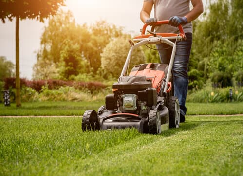 RESIDENTIAL
LAWN MOWING